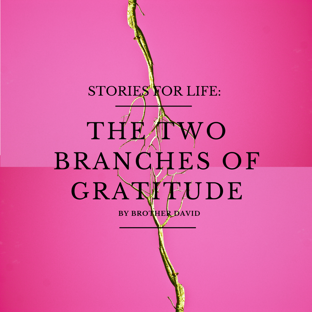 The Two Branches of Gratitude