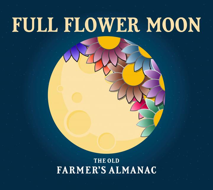 Full Moon Ceremony: 7th May 2020